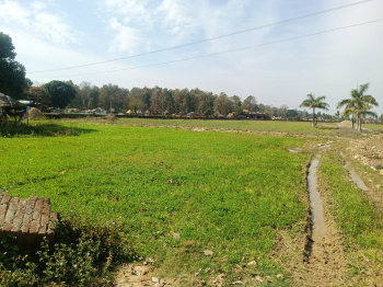 Residential Plot for Sale in Shimla Bypass Road, Dehradun (18 Bigha)