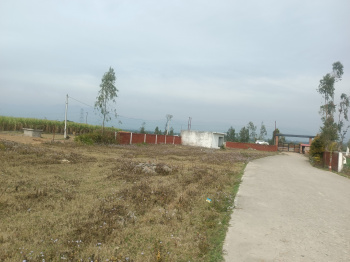 Residential Plot for Sale in Dharmawala, Dehradun (180 Bigha)