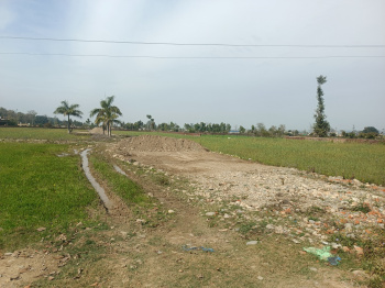 Residential Plot for Sale in Shimla Bypass, Dehradun (2 Bigha)