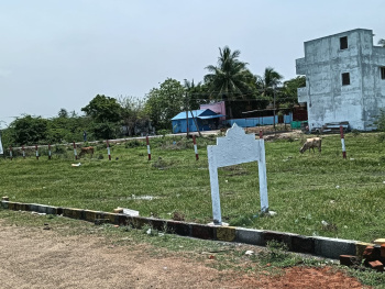 Residential Plot for Sale in Karunguzhi, Chengalpattu (737 Sq.ft.)