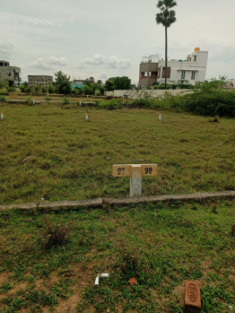 Residential Plot for Sale in Hasthinapuram, Chennai (32700 Sq.ft.)