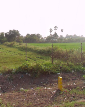 Residential Plot for Sale in Ozhalur, Chengalpattu (80 Acre)