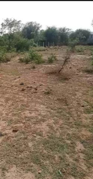 Agricultural/Farm Land For Sale In Delhi Road, Jaipur (10 Bigha)