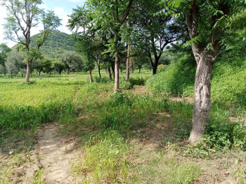 Agricultural/Farm Land For Sale In Delhi Road, Jaipur (6 Bigha)