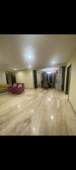 Flats & Apartments for Rent in C Scheme, Jaipur (2630 Sq.ft.)