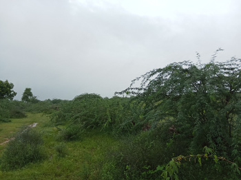 Agricultural/Farm Land for Sale in Agra Road, Dausa (40 Bigha)