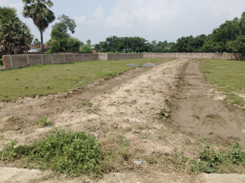 Residential Plot for Sale in Anisabad, Patna (1200 Sq.ft.)