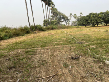 Property for sale in Neoraganj, Patna