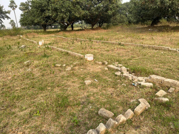 Property for sale in Neoraganj, Patna