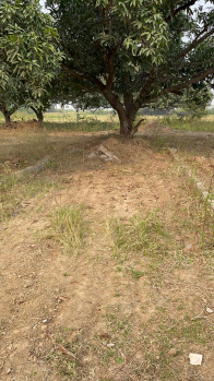 Property for sale in Neoraganj, Patna