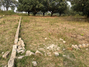 Property for sale in Neoraganj, Patna