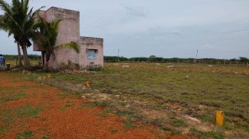 PONNERI PAZHAVERKADU ON ROAD SITE