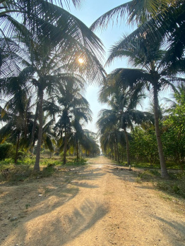 Acharapakkam Farm Land On Road Property