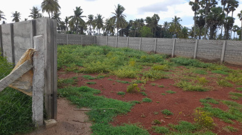 Subbaiya nagar plot for sale At mariyammankovil road Thanjavur