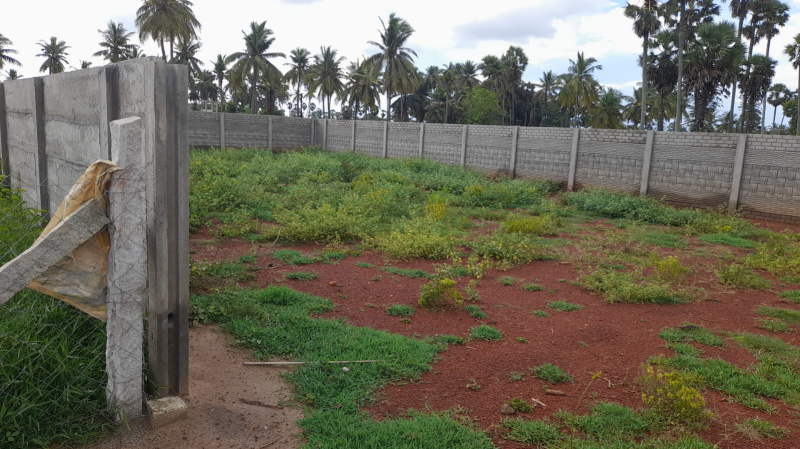 Subbaiya Nagar Plot For Sale At Mariyammankovil Road Thanjavur