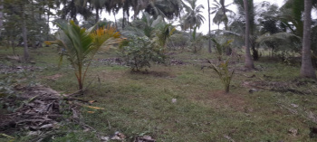 Agri land for Sale at Marungulam to Nanjikottai Road, Thanjavur