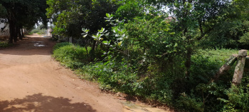 Property for sale in Madhakottai, Thanjavur