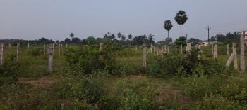 Bhuvaneshwari nagar plot for sale at Mapillai naickan patti road, Thanjavur