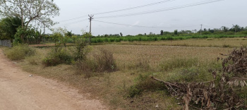 Agri land for Sale at Marungulam to Nanjikottai Road, Thanjavur