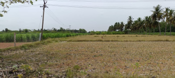 Property for sale in Kurungulam, Thanjavur