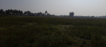 2 Acre 60 Cent Agri land for Sale at Kurungulam , Pudhukottai road, Thanjavur