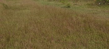 Property for sale in Kurungulam, Thanjavur