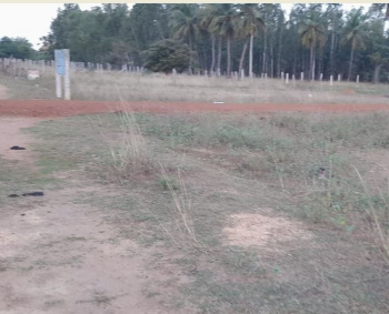 Residential Plot for Sale in Nanjikottai, Thanjavur (2400 Sq.ft.)