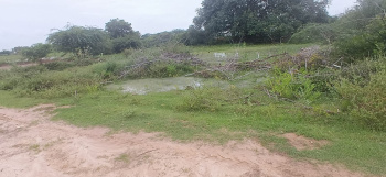 Thanjavur Mariamman Temple Road, Near Best School