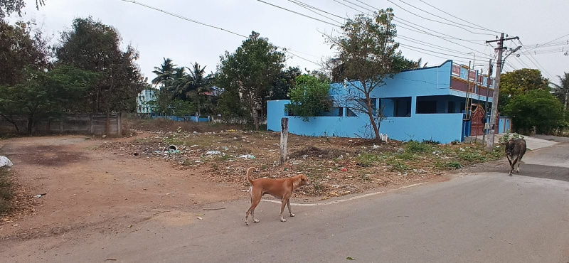 medical collage road  residential plot for sale