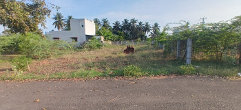 Thanjavur medical collage road sundaram nagar plot for sale