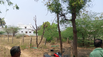 Thanjavur medical collage road bharathi nagar back sideRN Puram plot for sale