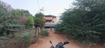 medical collage road mooligai pannai arch opposite bharathi nagar back side sami nagar plot for sale