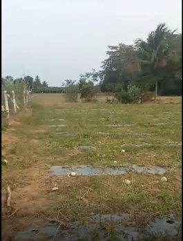 Farm land  for  sale  thanjavur