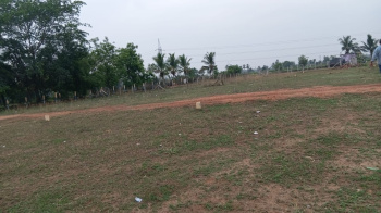Thanjavur pudhukkottai road thirukanurpatti nall road bon sercuse collage opposite golden line city plot for sale
