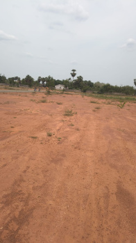 Thanjavur Pudhukkottai Road roja Garden Plot for sale