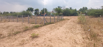 Thanjavur medical collage road Barathi  Nagar Near Ram Nagar plot for sale