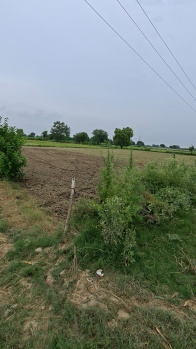 Agricultural/Farm Land for Sale in Chaumuhan, Mathura (4 Bigha)