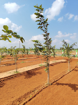 Property for sale in Madurantakam, Chennai