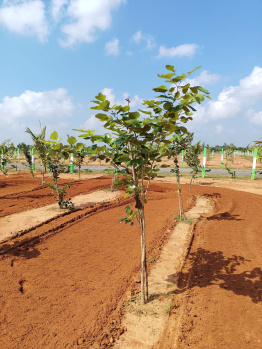 Property for sale in Melmaruvathur, Chennai