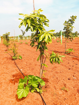 Property for sale in Ecr To Marakanam Road, Chennai