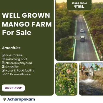 Mango farm for sale near Acharapakkam toll