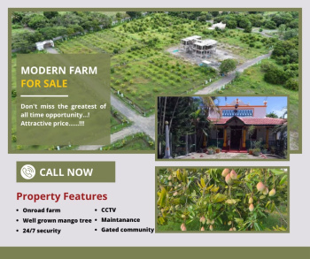 Agricultural/Farm Land for Sale in Tindivanam, Chennai (10000 Sq.ft.)
