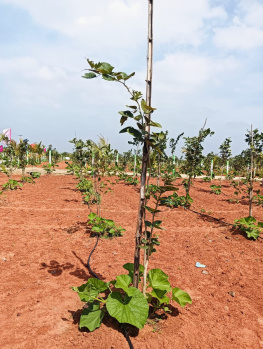 Property for sale in Melmaruvathur, Chennai