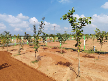 Property for sale in Kovalam, Chennai