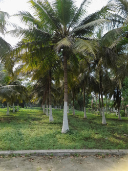 Property for sale in Tindivanam, Villupuram