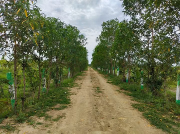 Property for sale in Uthiramerur, Kanchipuram