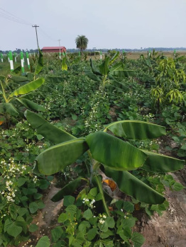 Property for sale in Uthiramerur, Kanchipuram