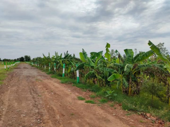 Property for sale in Uthiramerur, Kanchipuram