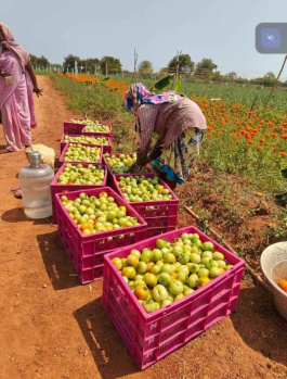 Property for sale in Marakkanam, Chennai