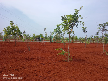 Property for sale in Marakkanam, Chennai